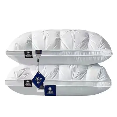 Five-Star Hotel Feather Velvet Pillow Insert, Single Gift Pillow
