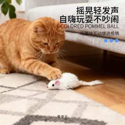 Katzenspielzeug-Set mit Maus, raschelndes Geräusch, langlebiges interaktives Katzenspielze - 2