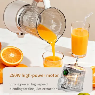 Home juicer large capacity multifunctional single serving - 4