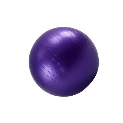 PVC Kalın Mat Yoga Topu 55 cm 65 cm 75 cm Fitness Topu - 7