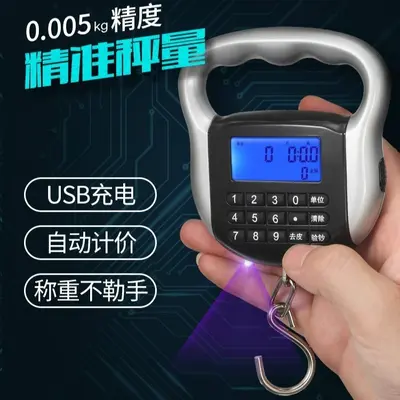 cnw计价秤充电手提秤卖菜秤台秤电子秤快递秤买菜秤弹簧称吊钩称