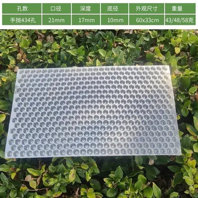Thickened Rice Seedling Tray, Transparent, 434-Hole - 7