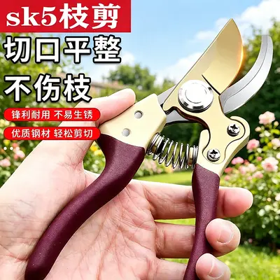 Himbeerfarbene SK5 Astschere Fruchtschere Blütenschere Zweigschere Grobastschere Landwirtschafts- und Gartenschere Gartenbauschere