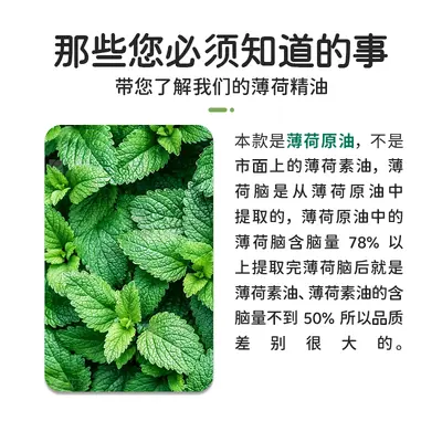 Pure Natural Peppermint Essential Oil, Aromatherapy and Insect Repellent - 4