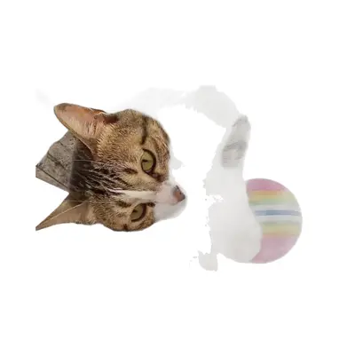Rainbow Cat Ball, Self-Play Interactive Toy - 5