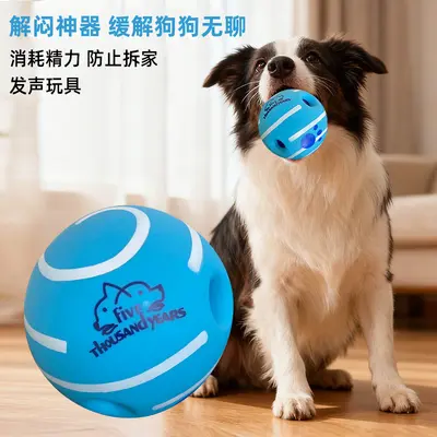 Squeaky Ball Dog Toy for Small, Medium and Large Dogs, Bite-Resistant - 5