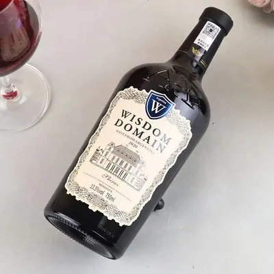 Argentinian Dry Red Wine in Special-Shaped Bottle, Holiday Gift - 7