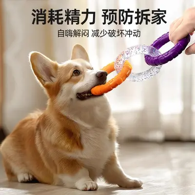 狗狗拔河玩具小狗磨牙洁齿拉扯耐咬玩具幼犬训练互动宠物解闷神器