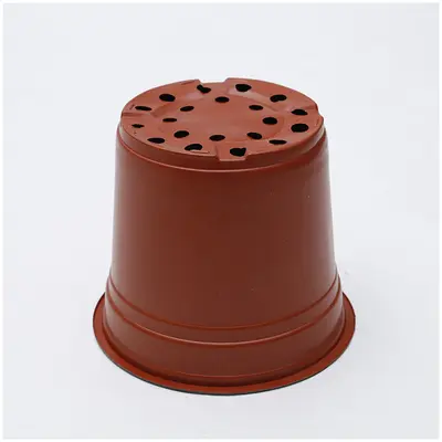 Two-Color Disposable Plastic Seedling Pot, Large, for Succulent Cuttings
