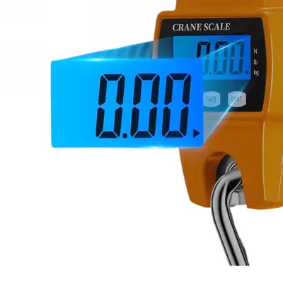 Digital crane scale 300kg portable