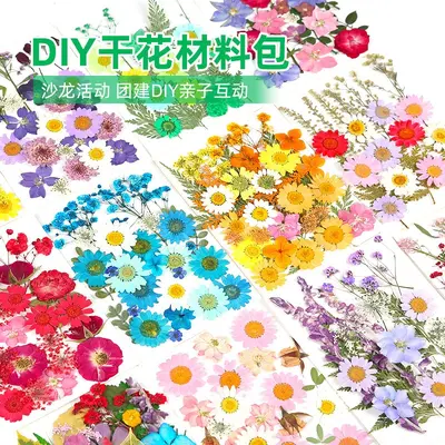 Getrocknete Pressblumen-Materialpaket für DIY-Epoxidharzprojekte