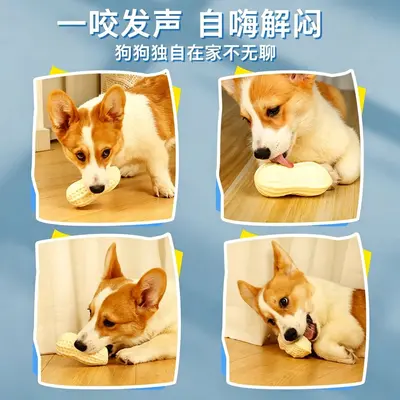 Köpek sesli oyuncağı, PVC fıstık, Corgi için - 3