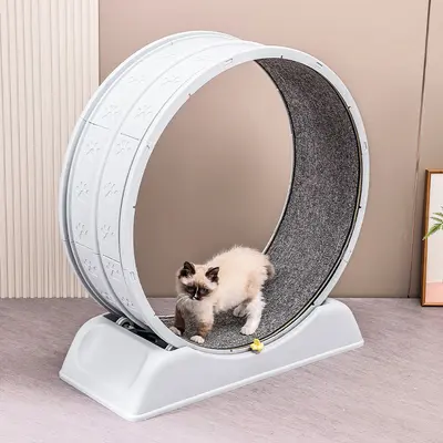 Sınır Ötesi Yeni Model Kedi Koşu Bandı Kedi Fitness Egzersiz Sessiz Büyük Boy Kedi Tırmalama Dayanağı Koşu Bandı Oyuncak Toptan