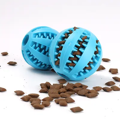 Multifunctional Pet Slow Feeder Ball and Bowl - 4