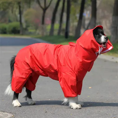 Reflective Dog Raincoat, One-Piece Overall - 9
