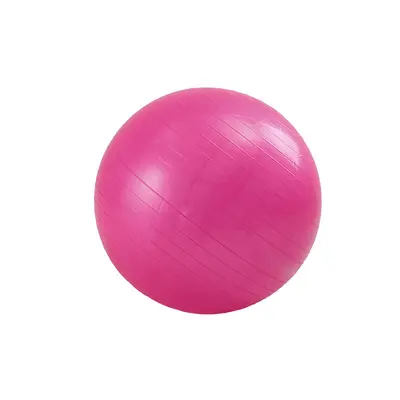PVC Kalın Mat Yoga Topu 55 cm 65 cm 75 cm Fitness Topu - 8