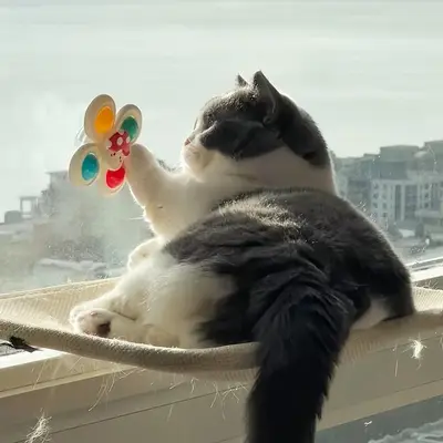 Suction Cup Spinning Cat Toy, Energy-Burning Puzzle Spinner - 4