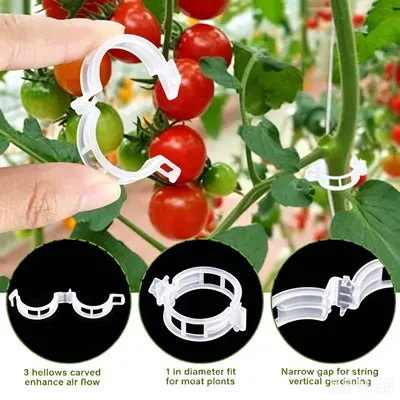 Tomaten-Rankenklammer für Gewächshaus, Kunststoff-Pflanzenclips