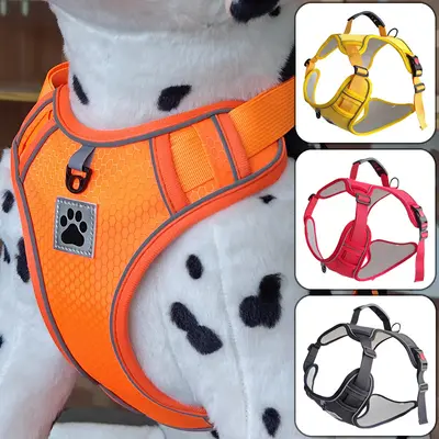 Adjustable Dog Harness with Retractable Leash for Pets