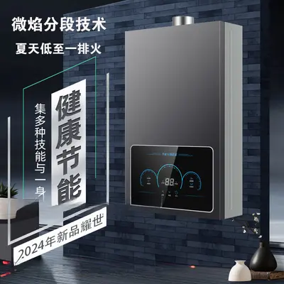 可装包邮热水器电家用洗澡强排式煤气恒温平衡式液化气天然气燃气 - 2