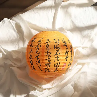 Wedding Paper Lanterns with Happy Wishes for Room Decor - 11