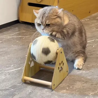 Rotating Cat Scratching Ball with Hand-Crank Generator, Large Vertical Sisal Scratching Po - 6