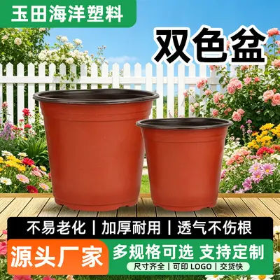Two-Color Disposable Plastic Seedling Pot, Large, for Succulent Cuttings