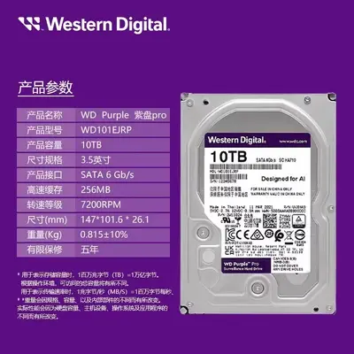 WD Purple PRO 10TB gözetim 7200 RPM