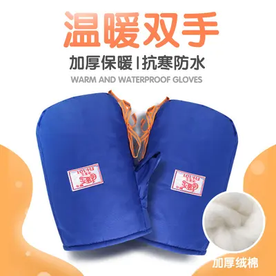Electric Vehicle Motorcycle Gloves, Thick, Cold-Proof, Velvet Lined