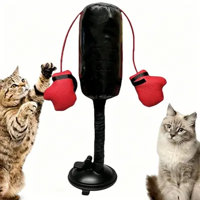 跨境亚马逊独立站新品玩具猫咪拳击游戏多功能拳击玩具