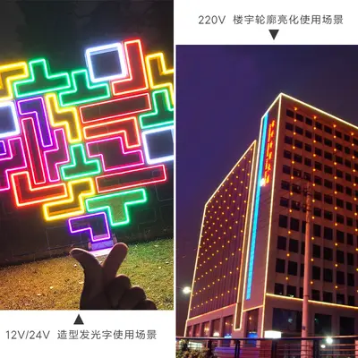220V LED flexibles Neon-Lichtband wasserdicht Silikon-Lichtleiter 12V helles Charakterlichtband 110V grenzüberschreitend