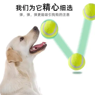 Dog Ball, Durable Rubber Tennis Ball for Training and Teething - 4