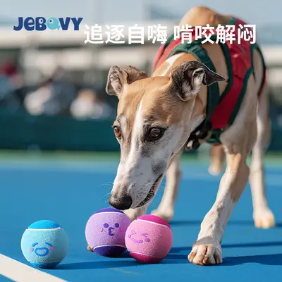 Elastic Tennis Ball Dog Toy for Pet Ball Puppy Training