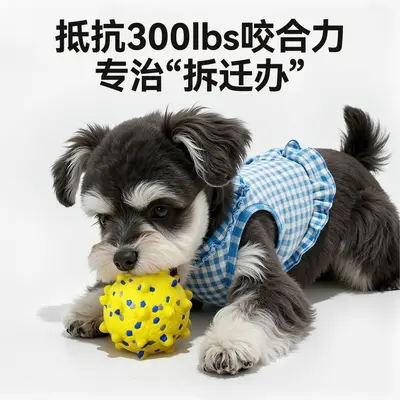 Köpek oyuncak topu, küçük-büyük ırk, diş sağlığı, dayanıklı