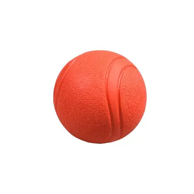 Solid Rubber Dog Ball, Chew-Resistant Dental Toy for Puppies - 6