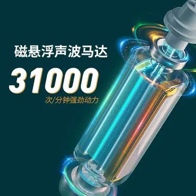Portable Sonic Electric Toothbrush with UV Sterilization, Travel Set