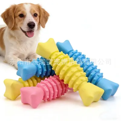 TPR Fish Bone Dog Chew Toy, Molar Stick