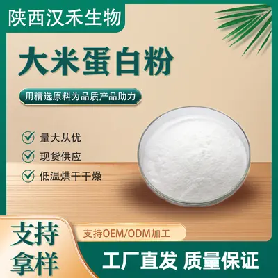 大米蛋白粉植物蛋白有大米水解蛋白量大从优现货供应大米蛋白肽粉