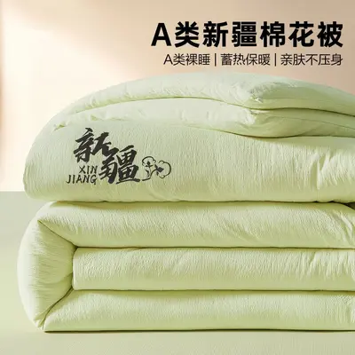 Xinjiang Cotton Quilt, Thickened Single Size, Four-Season - 8