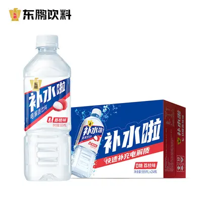 Dongpeng Electrolyte Drink Lemon Flavor 555ml x 24 Bottles - 13