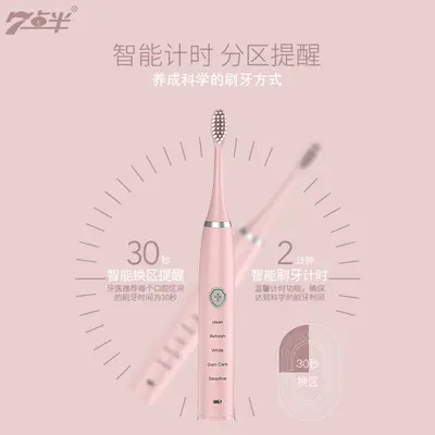 Adult Sonic Electric Toothbrush, USB Rechargeable, Portable, Fully Washable