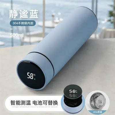 316 Stainless Steel Smart Thermos with Temperature Display and Tea Infuser - 12