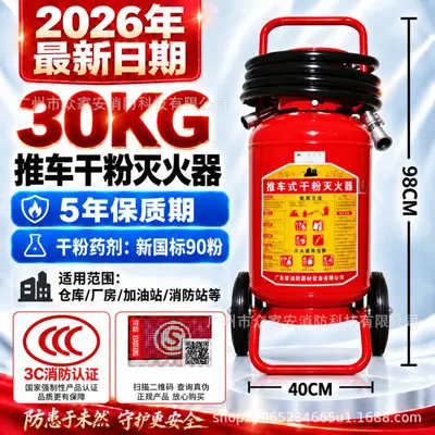 Dry Powder Portable Fire Extinguisher 4 kg, 3C Certified - 12