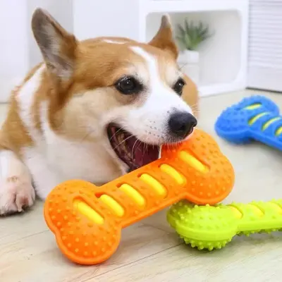 Squeaky Dog Chew Toy, Durable Rubber Bone, Interactive - 5