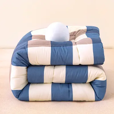 Water-Washed Cotton Quilt Spring Autumn Thick Warm Quilt Core Student Dormitory Single Double Cotton Quilt - 13