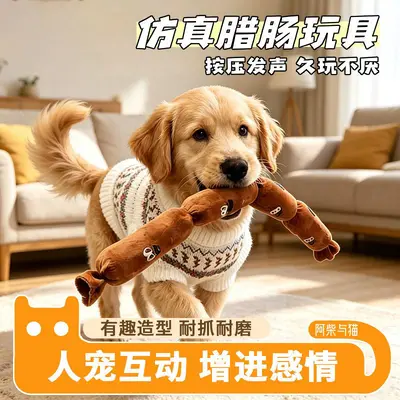 Plush Dog Toy, Squeaky, Large Dachshund Design - 7