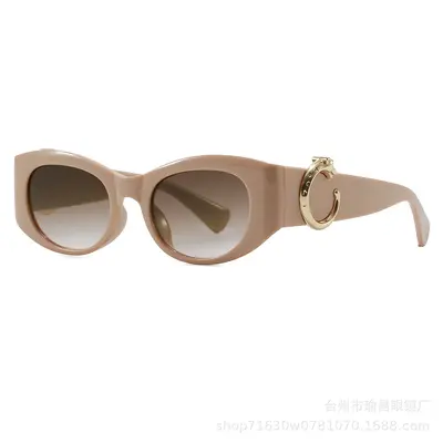 Small Frame Retro Sunglasses - 10