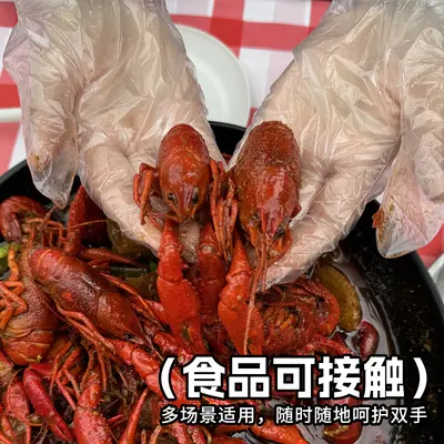 Food-Safe Disposable Transparent PE Plastic Gloves