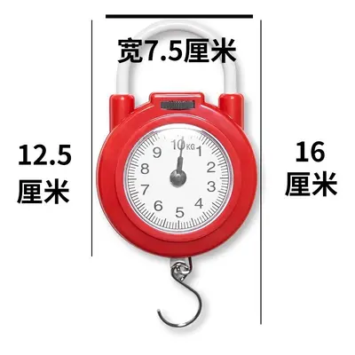 High-precision spring scale, portable, 50 kg capacity
