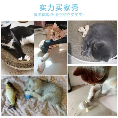 Peluş simülasyon bitkisel fare kedi oyuncağı, çizilmeye ve ısırmaya dayanıklı - 3